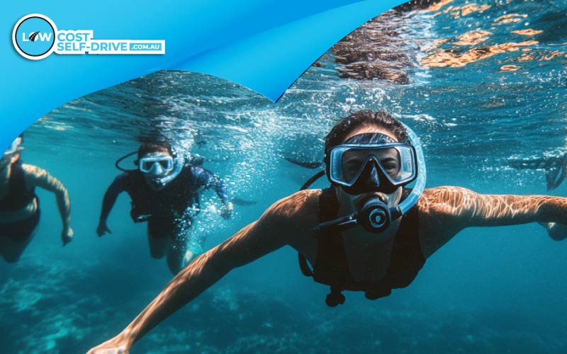 Thumbnail group of friends snorkelling or freediving underwater, travelling with friends, July 2024, Australia