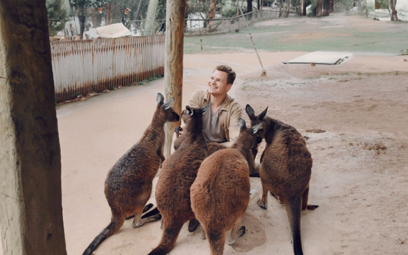 a mob of Australian kangaroos, Australian adventure, October 2024, Australia