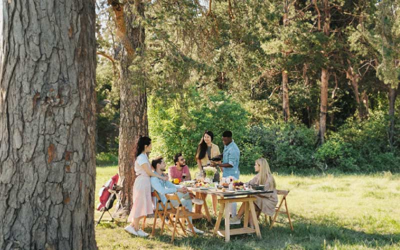 group on a picnic at Springbrook National Park, Gold Coast spots, October 2024, Australia