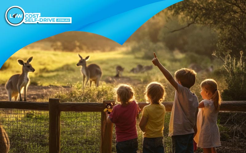 thumbnail children watching kangaroos, Australia animal tour, November 2024, Australia