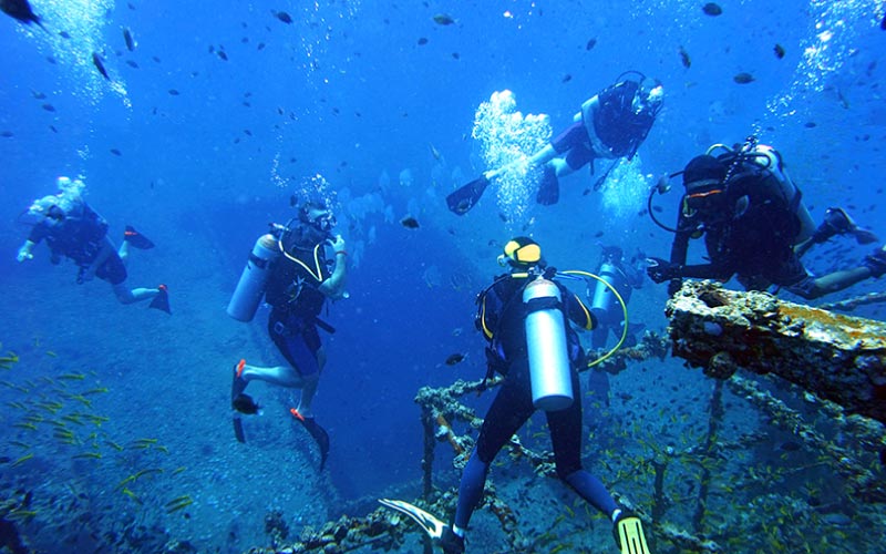 group scuba diving, Australian adventure, January 2025, Australia